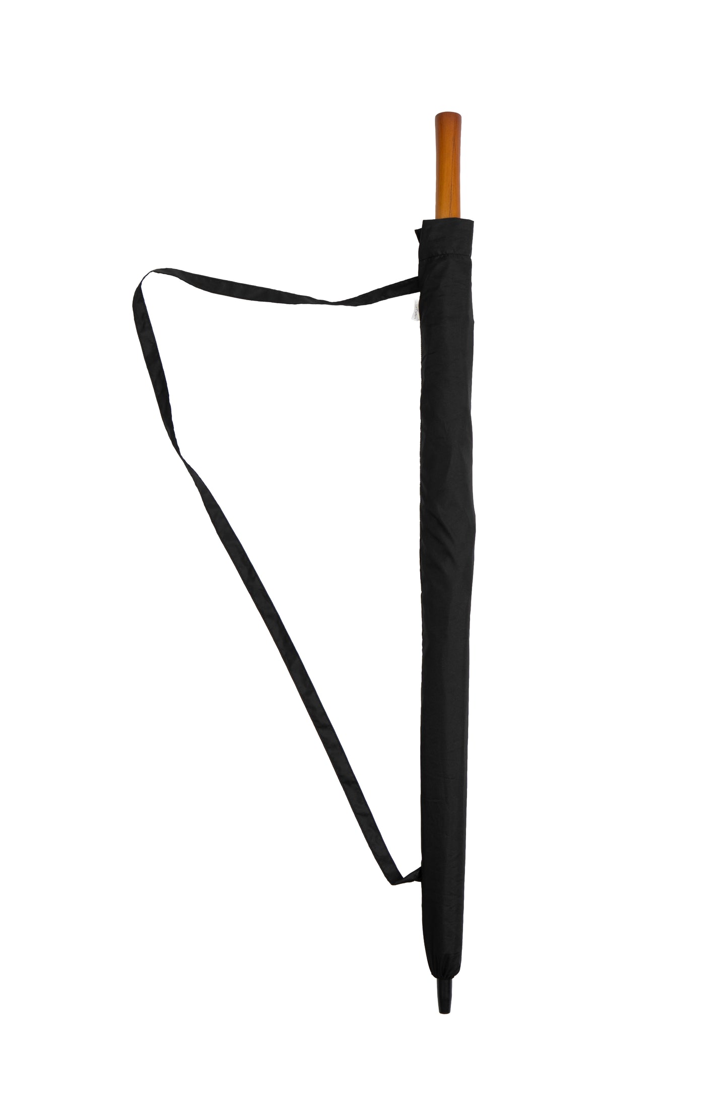 The Parapluie